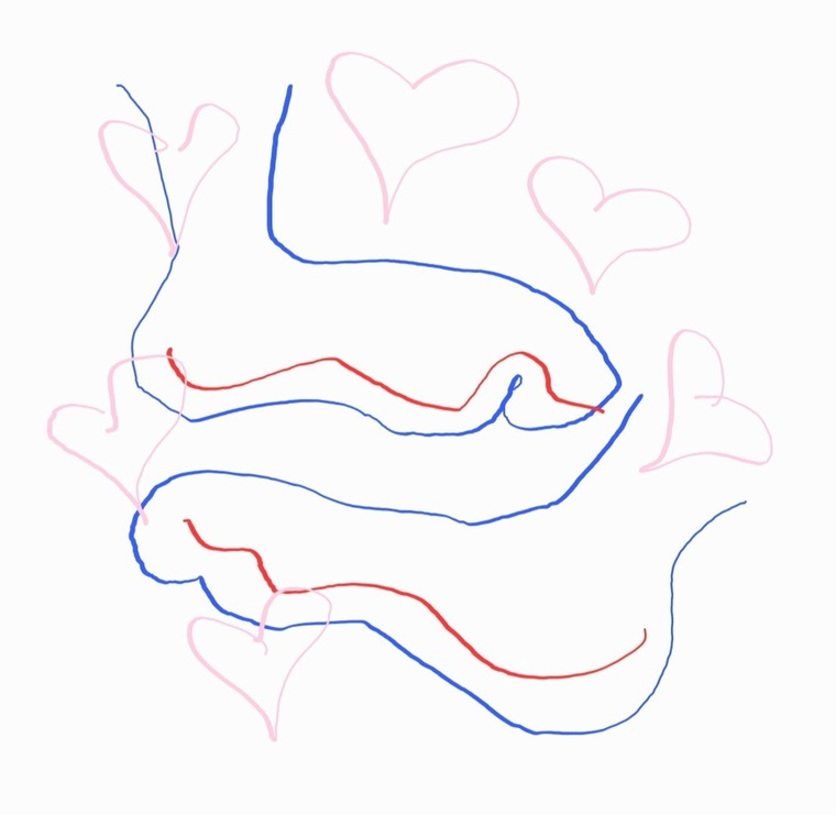 Toecurler cover image