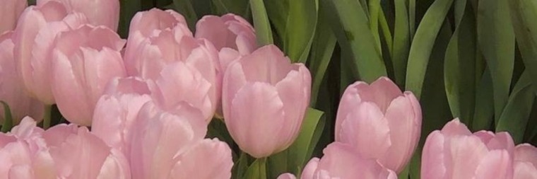 Danna♡ banner image