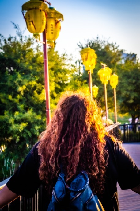 Conny banner image