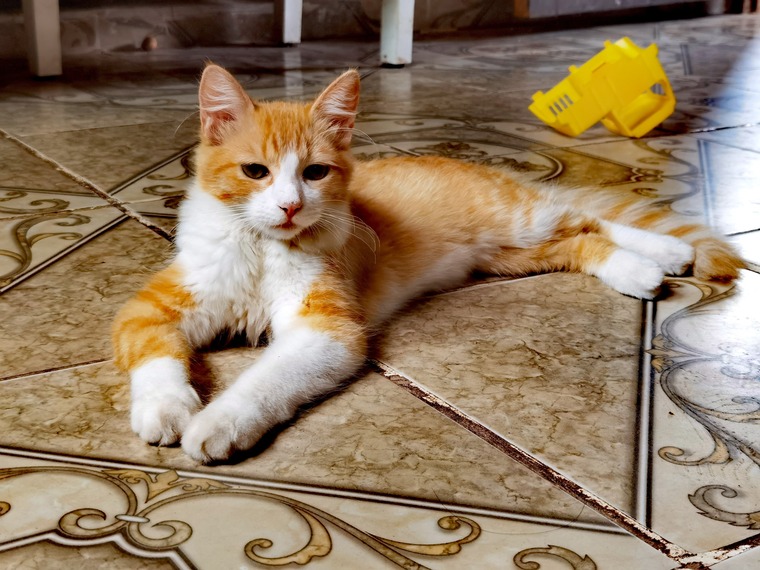 Paty banner image