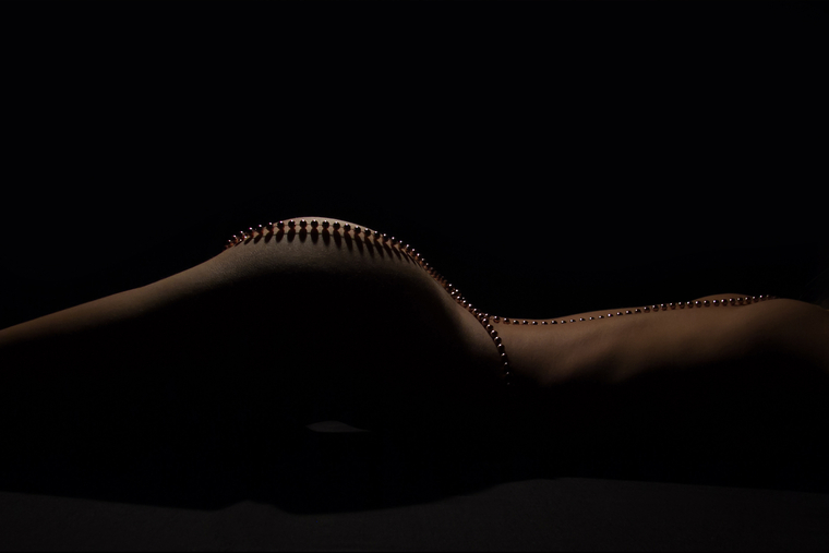 Thorned Silk cover image