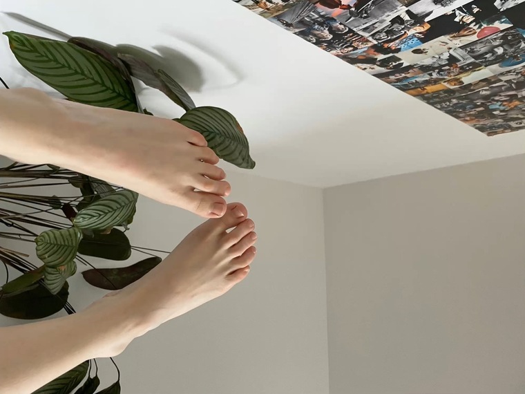 Cutiefeet banner image