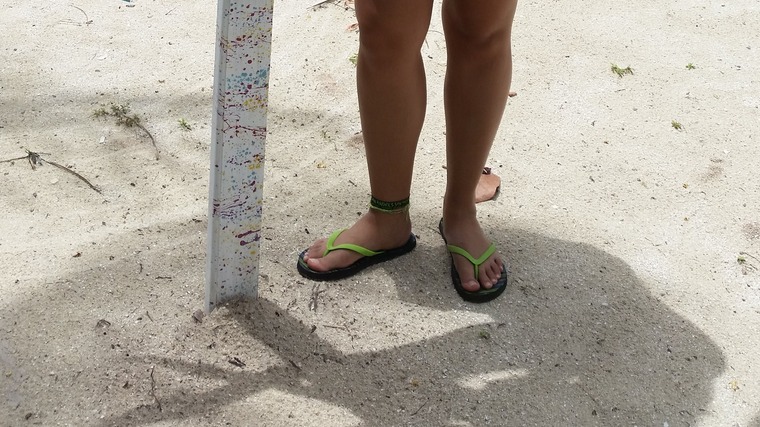Travel feet cover image