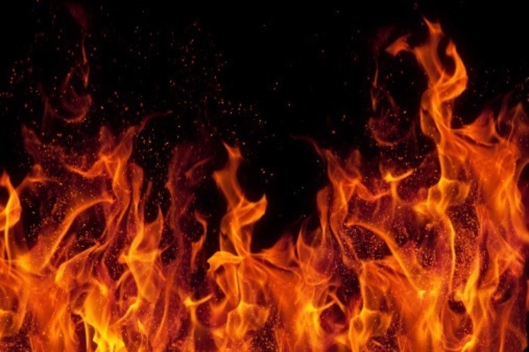 RedHot Ginger banner image