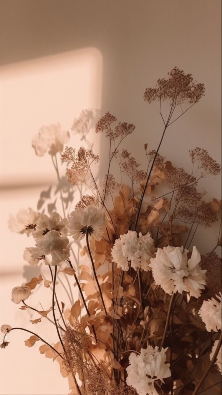 Deea Rosé cover image
