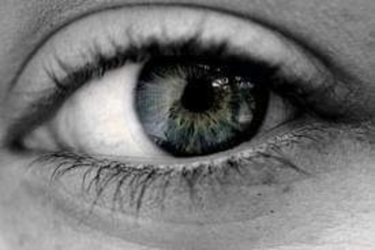 Carolina Flores banner image