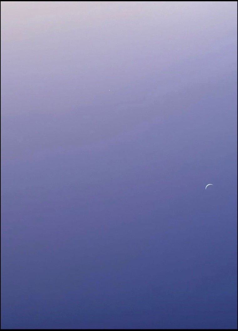 Luna Sol banner image