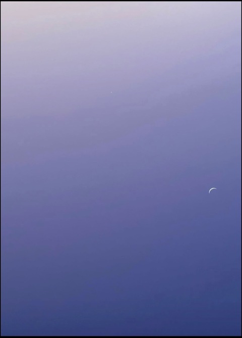 Luna Sol cover image