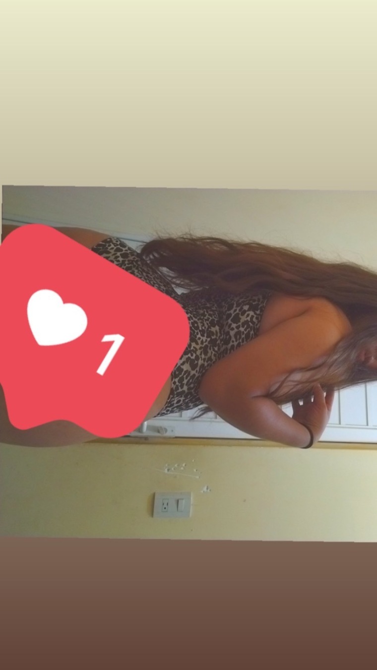 Soyestef cover image