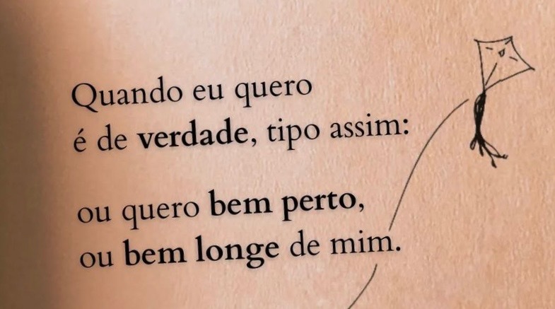 Izabel Mesquita banner image