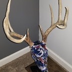 Mount Worthy Racks avatar