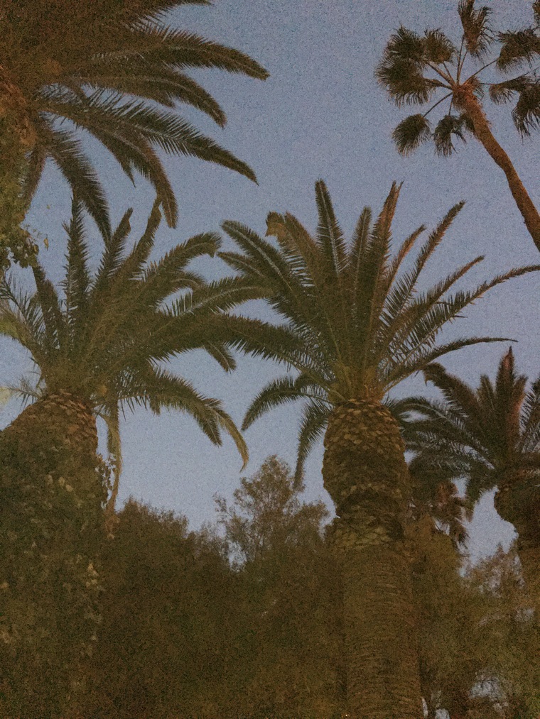 Kiwi ✨🥝 cover image