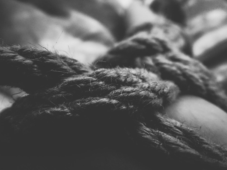LazyFox banner image