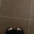 Lolypopfeet avatar