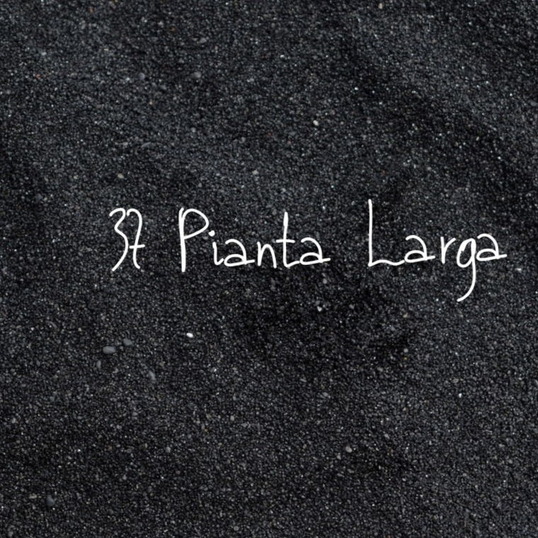 37 Pianta Larga cover image