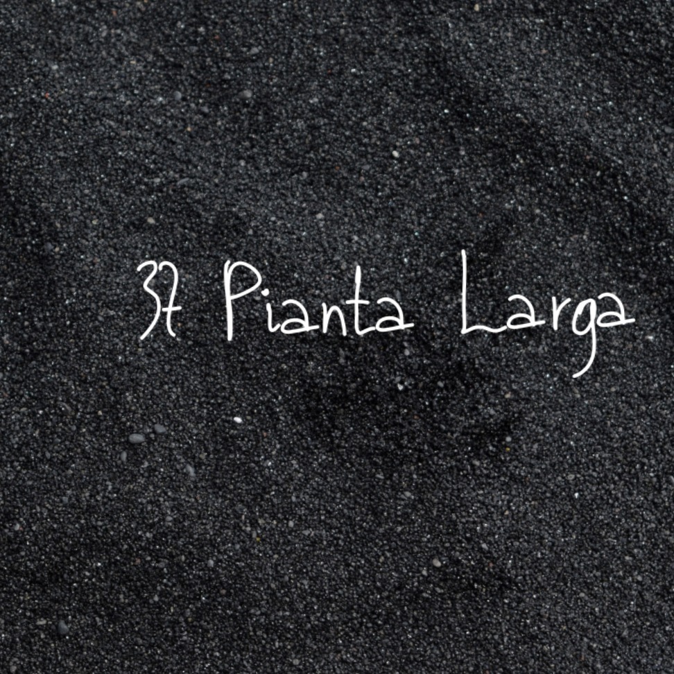 37 Pianta Larga banner image