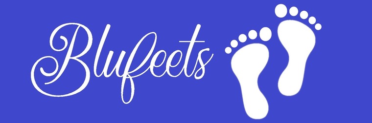 Blufeets cover image