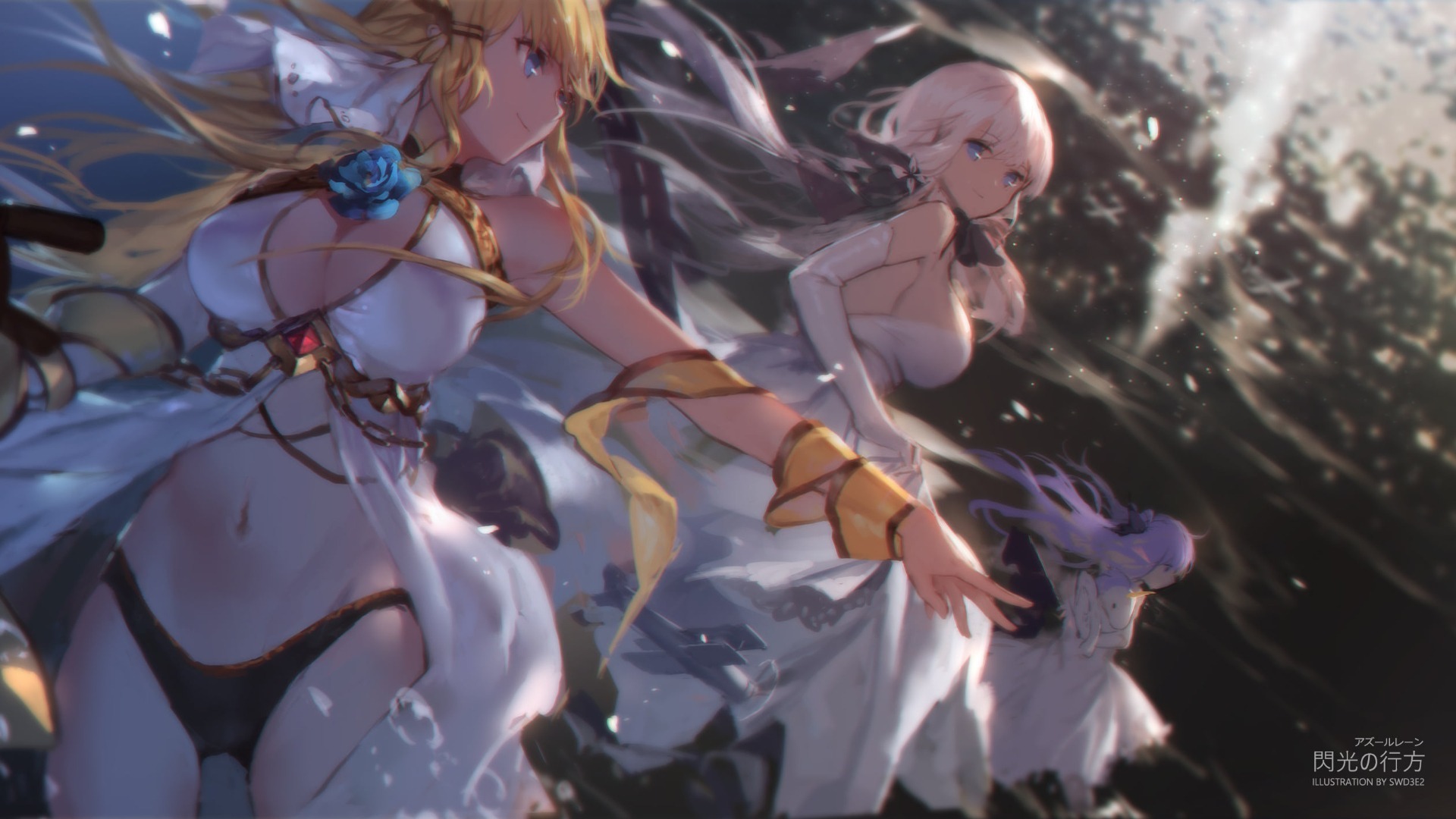 paradise banner image