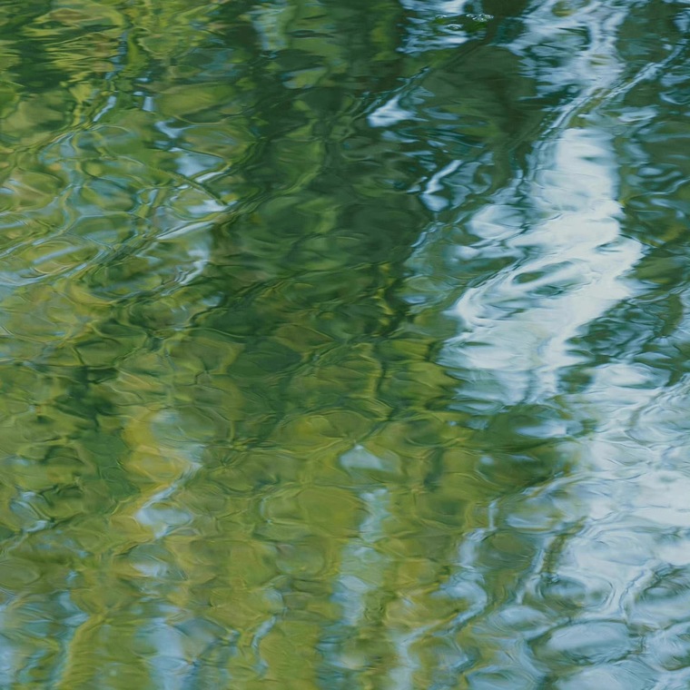 Tia banner image