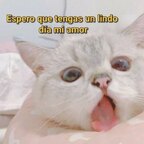 Bellatlittlepretty avatar