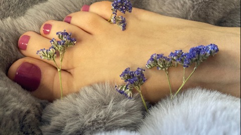 FootFairy cover image