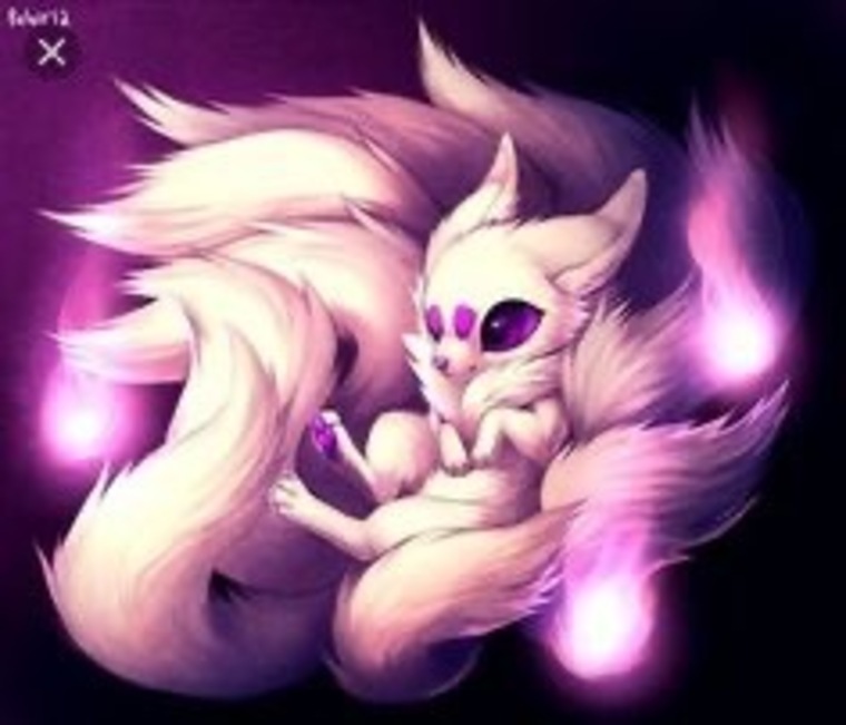 Fox cover image