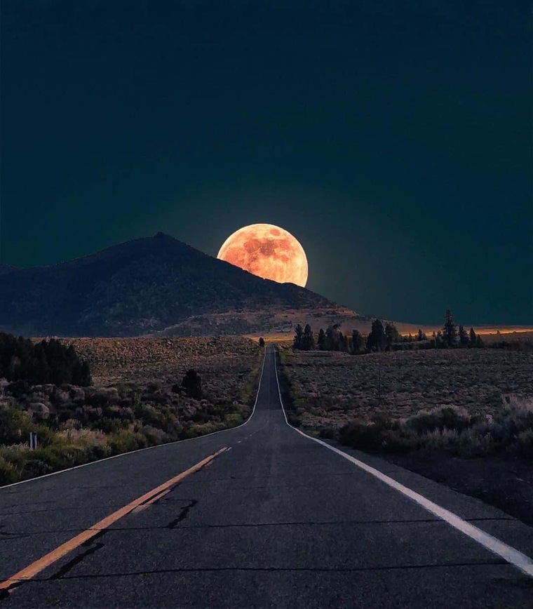 Luna 🌙 cover image