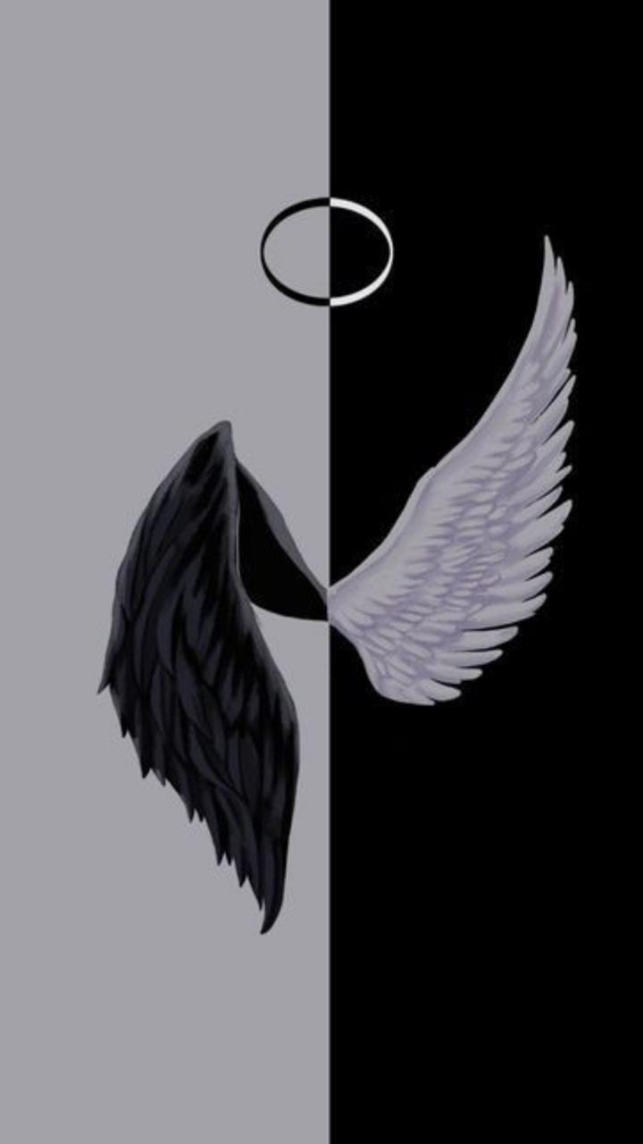 Stefy banner image