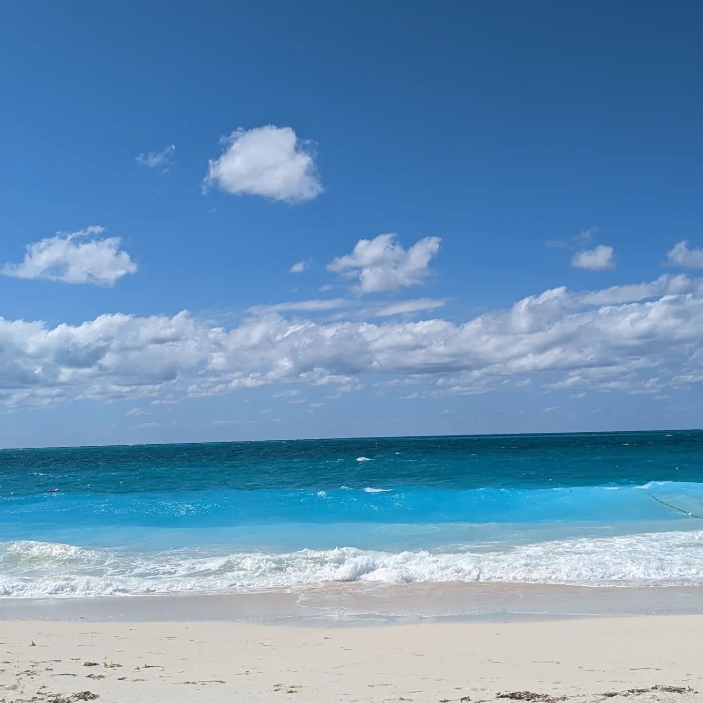 Feet4U banner image