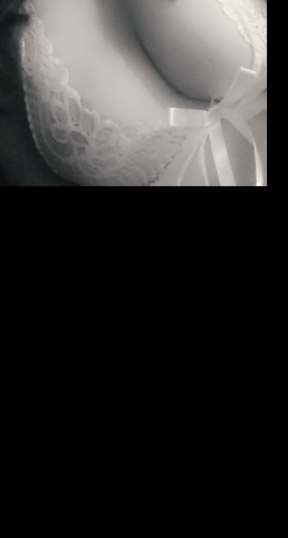 Anivi banner image