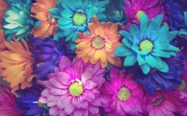 tigolebitties420 cover image