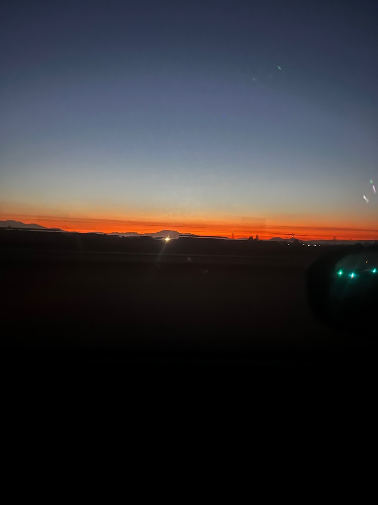 Alexis Brandy cover image