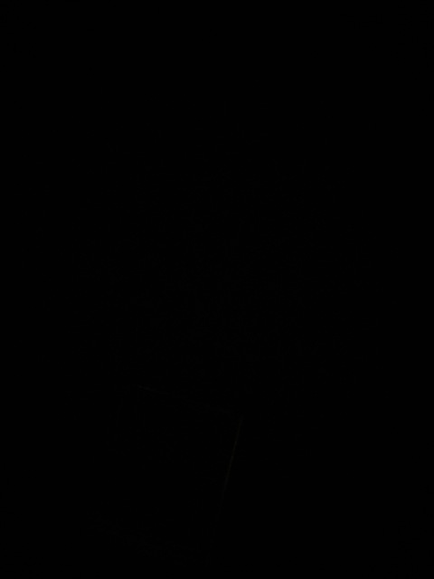 Maraaay cover image