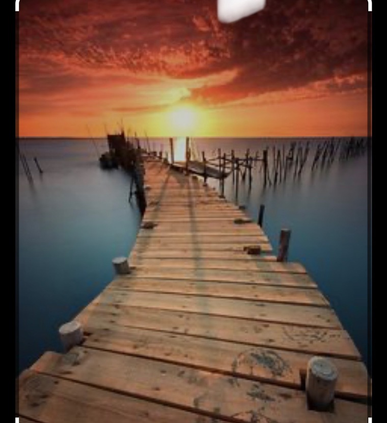 Nathalia Mendoza mantilla cover image