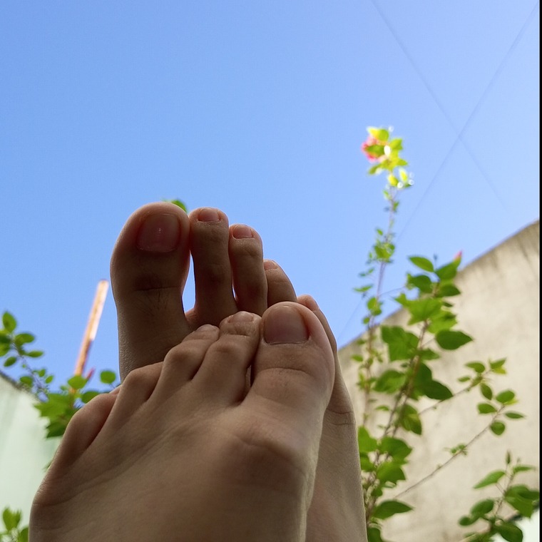 PrazerDoPé cover image