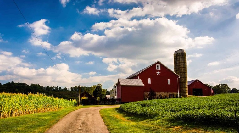 Sexy Farm Girl cover image