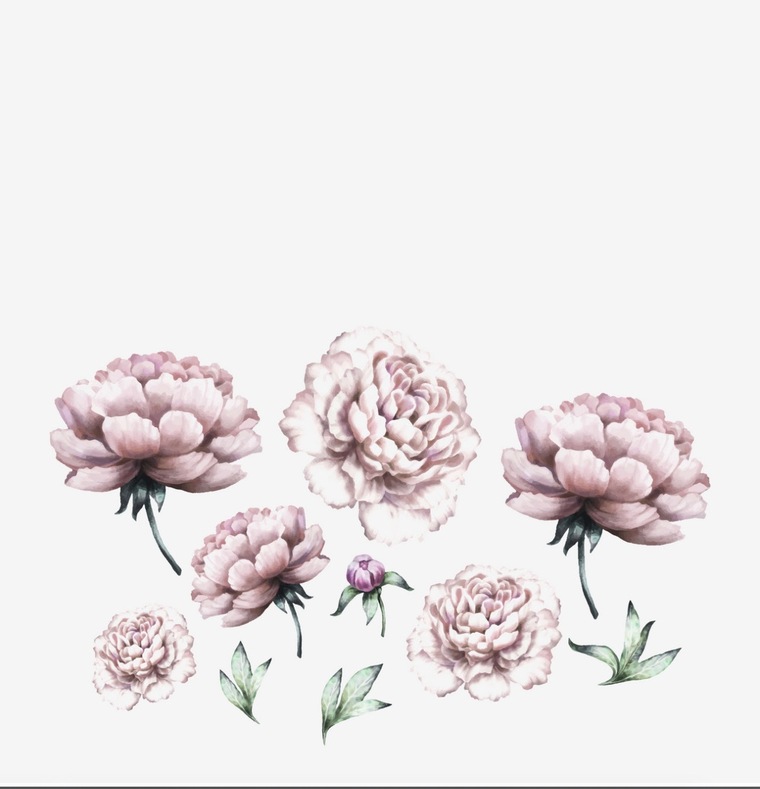 Amelia cover image