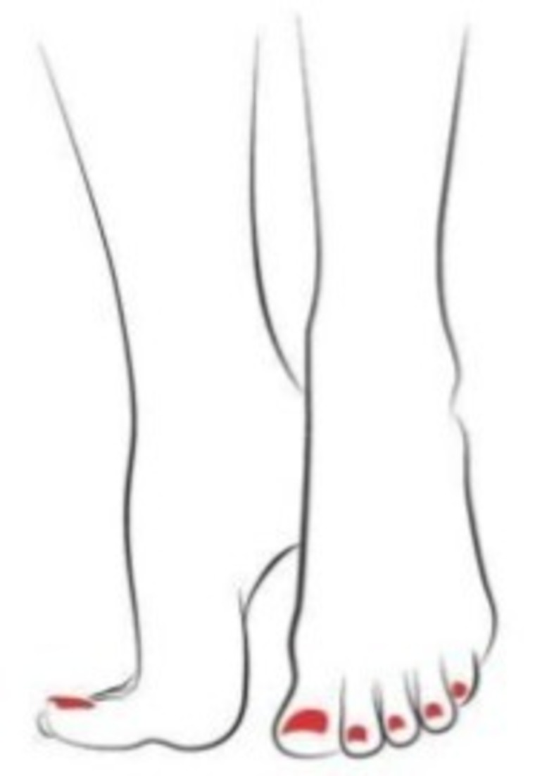 Fleurs aux pieds cover image