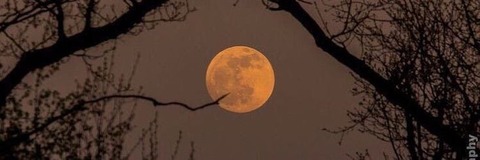 Sheypo cover image