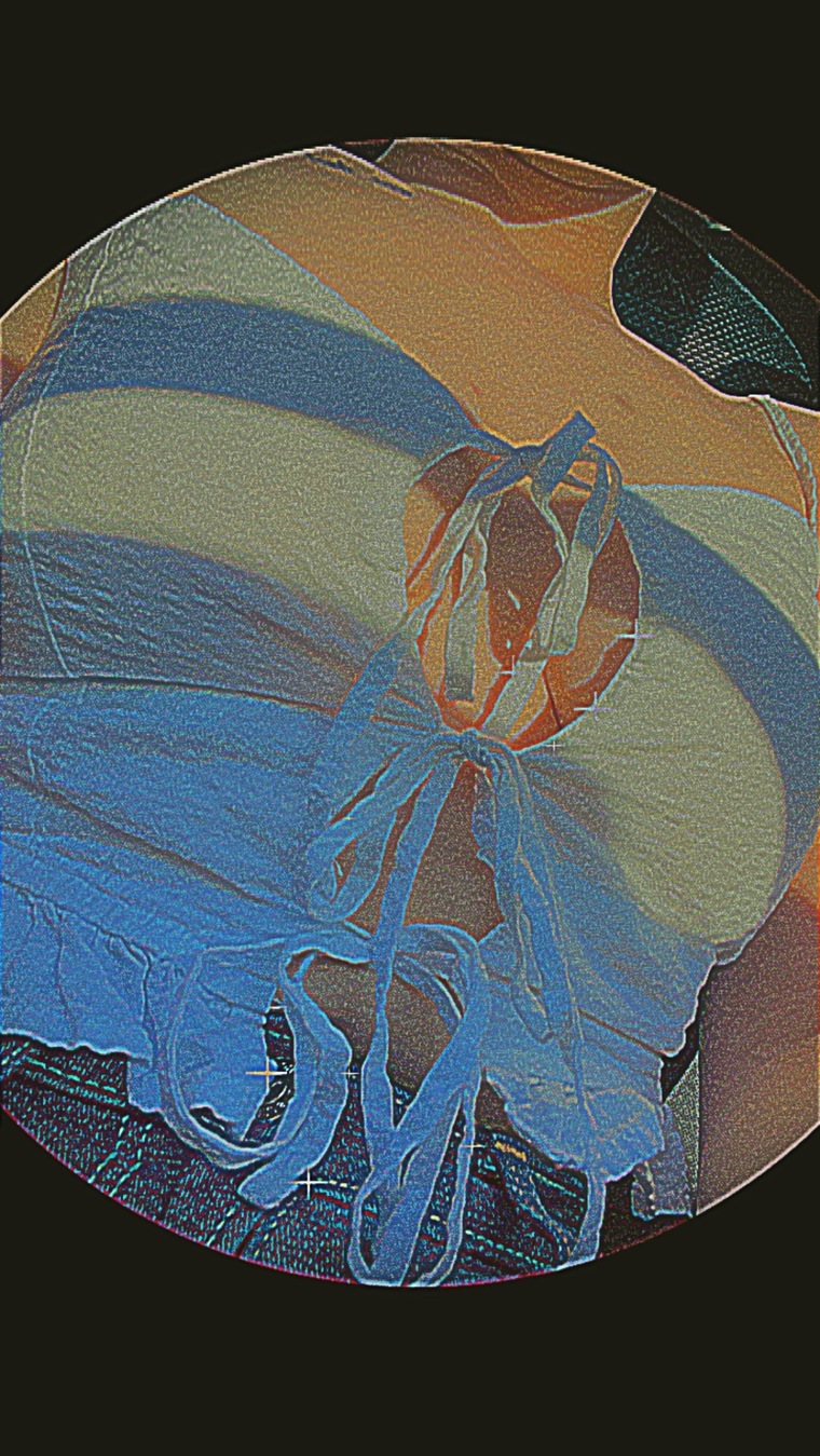 ropebunny23 cover image