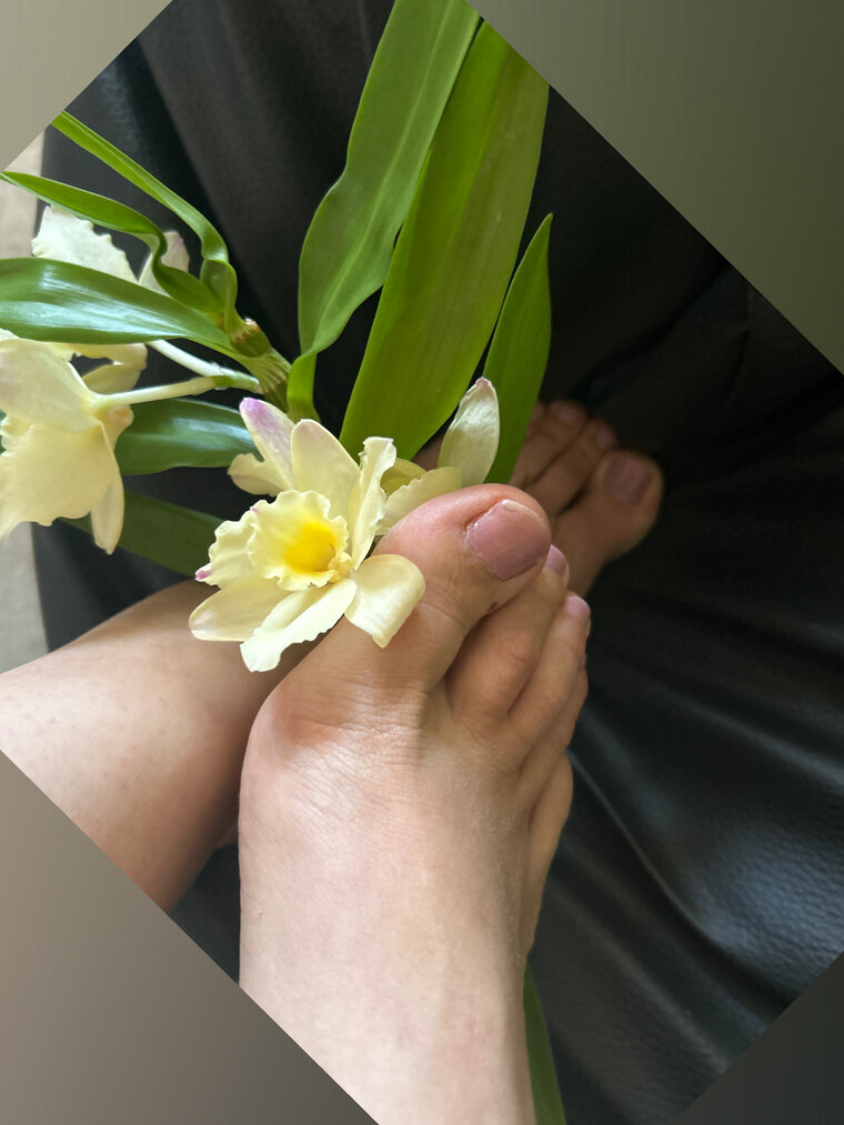 Defeet banner image