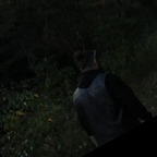 Yourdarkfantasy avatar