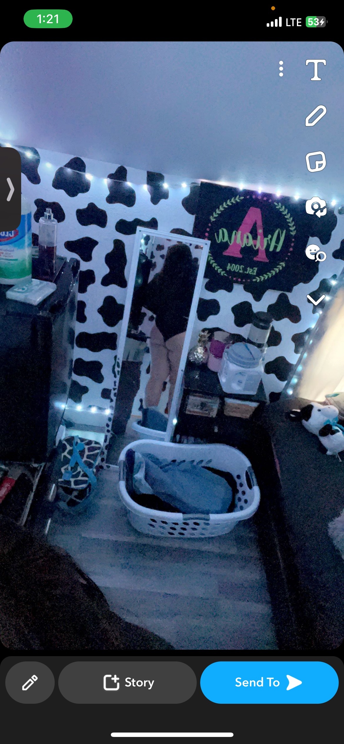 ariana banner image