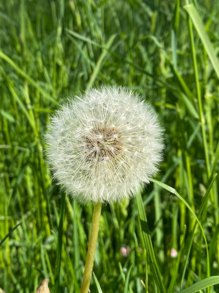 MeMyFeetandI/MeineFüsseichundüberhaupt cover image