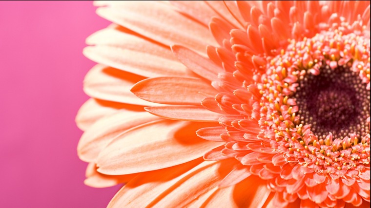 Sloan cover image