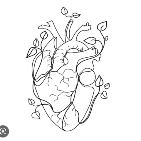 Monse cover image