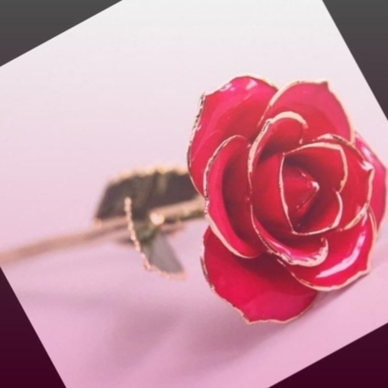MirabelleDeRose cover image