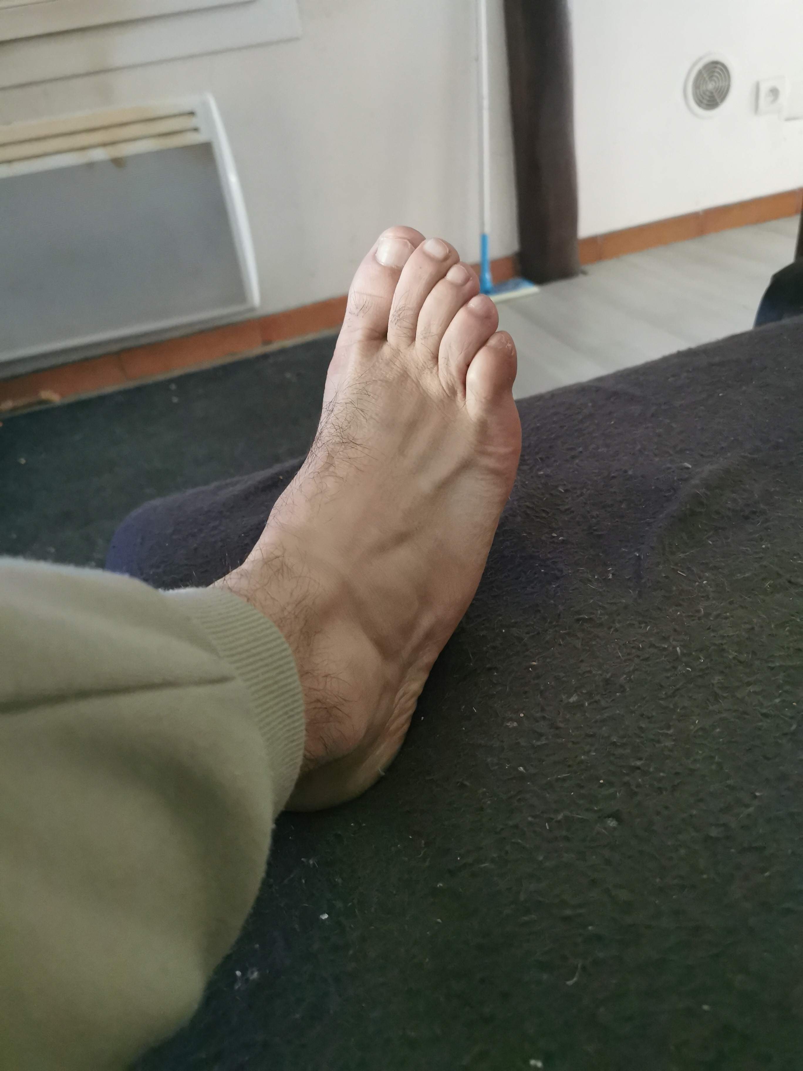Pieds2.0 banner image