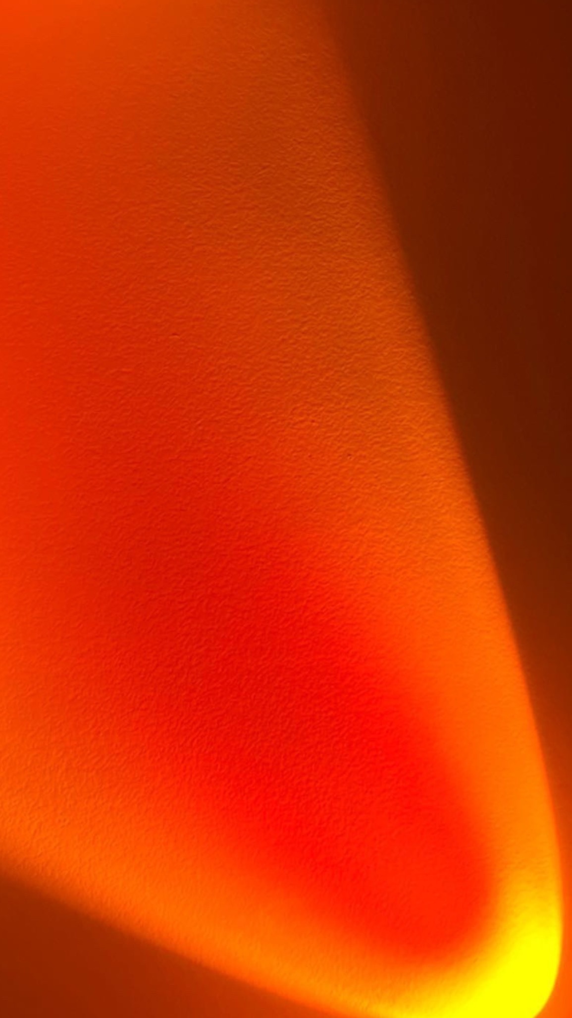 Nolaya banner image