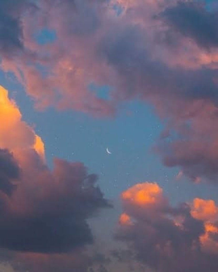 Steph Fdz banner image